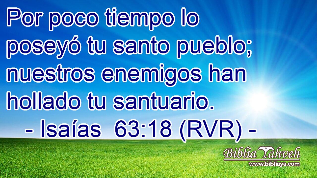 Por poco tiempo lo poseyó tu santo pueblo; nuestros enemigos han hollado tu santuario.
