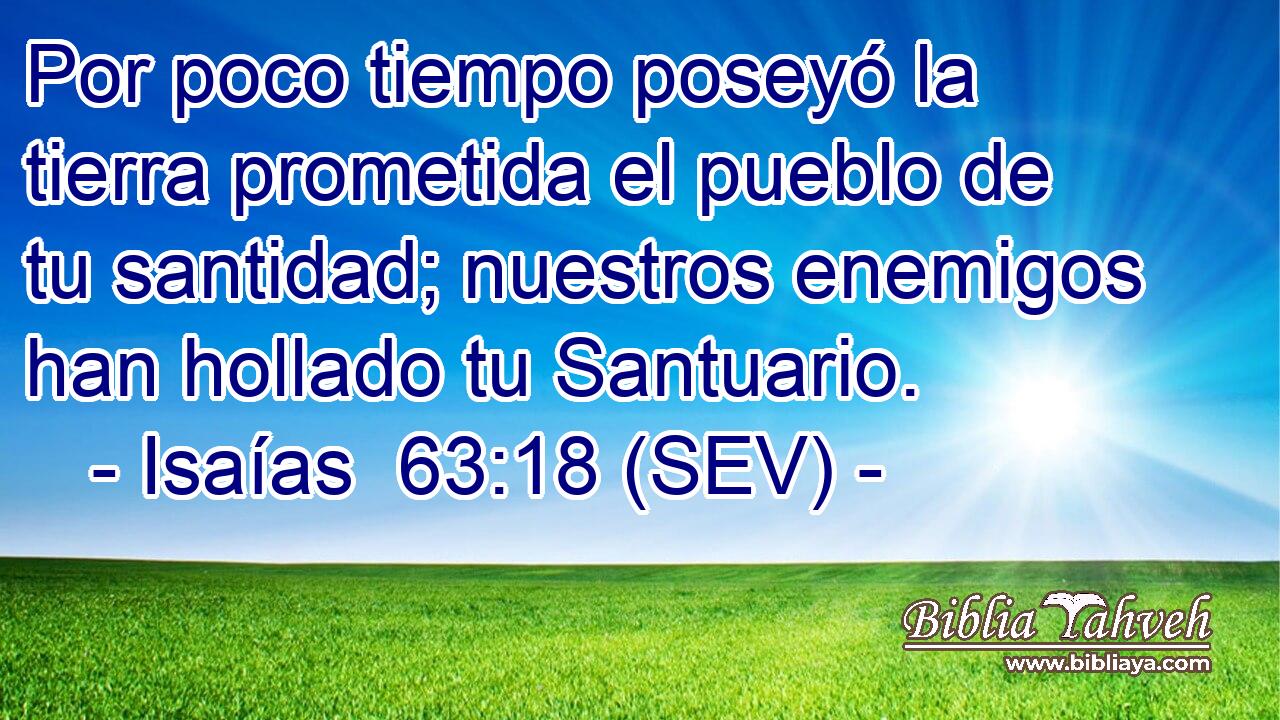 Por poco tiempo poseyó la tierra prometida el pueblo de tu santidad; nuestros enemigos han hollado tu Santuario.