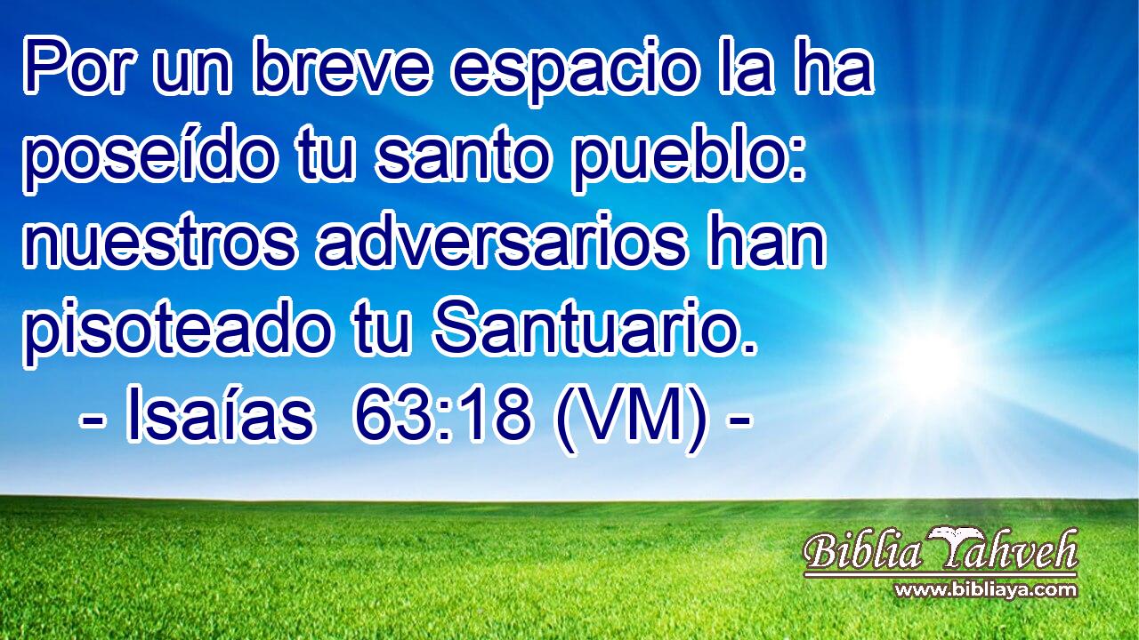  Por un breve espacio la ha poseído tu santo pueblo: nuestros adversarios han pisoteado tu Santuario. 