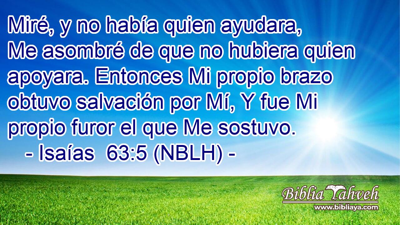  Miré, y no había quien ayudara, Me asombré de que no hubiera quien apoyara. Entonces Mi propio brazo obtuvo salvación por Mí, Y fue Mi propio furor el que Me sostuvo. 