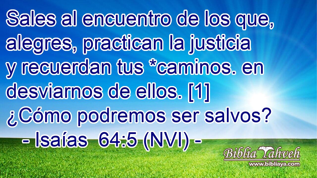  Sales al encuentro de los que, alegres, practican la justicia y recuerdan tus *caminos. en desviarnos de ellos. [1] ¿Cómo podremos ser salvos? 