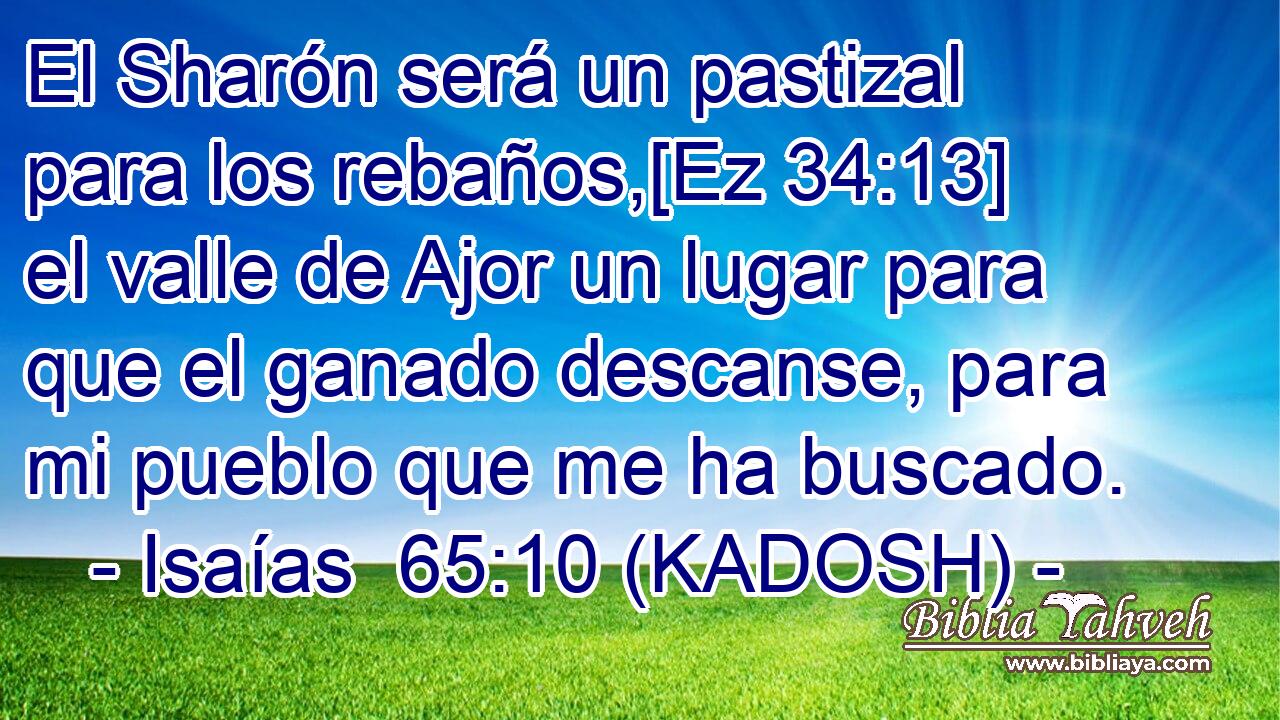  El Sharón será un pastizal para los rebaños,[Ez 34:13] el valle de Ajor un lugar para que el ganado descanse, para mi pueblo que me ha buscado. 
