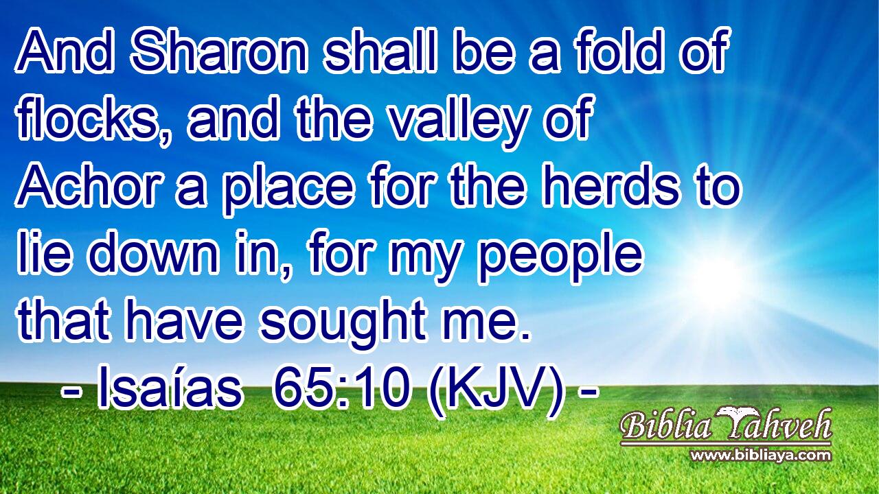 And Sharon shall be a fold of flocks, and the valley of Achor a place for the herds to lie down in, for my people that have sought me.