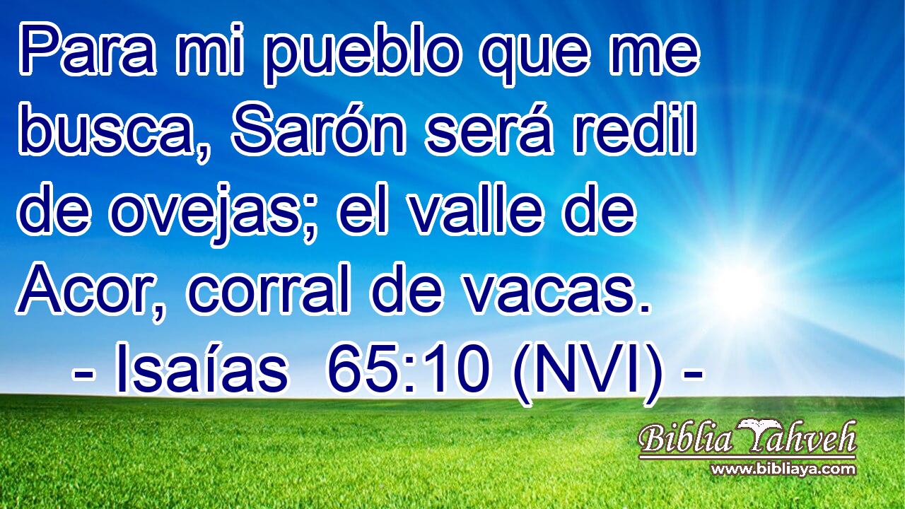  Para mi pueblo que me busca, Sarón será redil de ovejas; el valle de Acor, corral de vacas. 