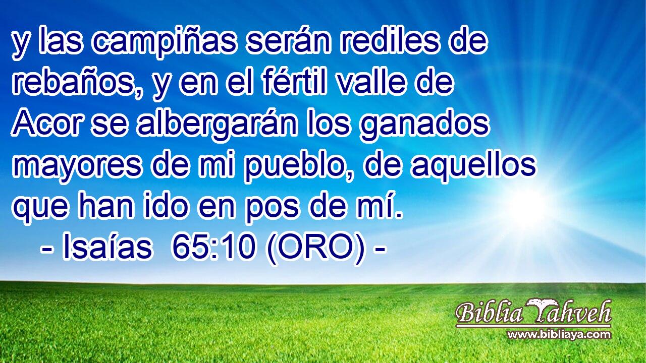  y las campiñas serán rediles de rebaños, y en el fértil valle de Acor se albergarán los ganados mayores de mi pueblo, de aquellos que han ido en pos de mí. 