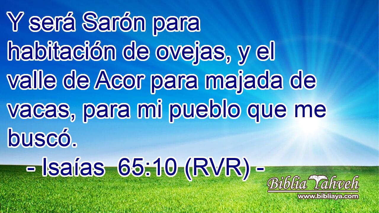 Y será Sarón para habitación de ovejas, y el valle de Acor para majada de vacas, para mi pueblo que me buscó.