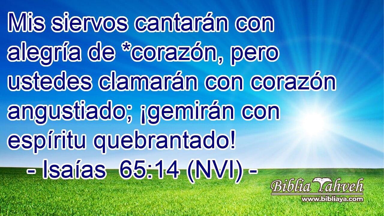  Mis siervos cantarán con alegría de *corazón, pero ustedes clamarán con corazón angustiado; ¡gemirán con espíritu quebrantado! 