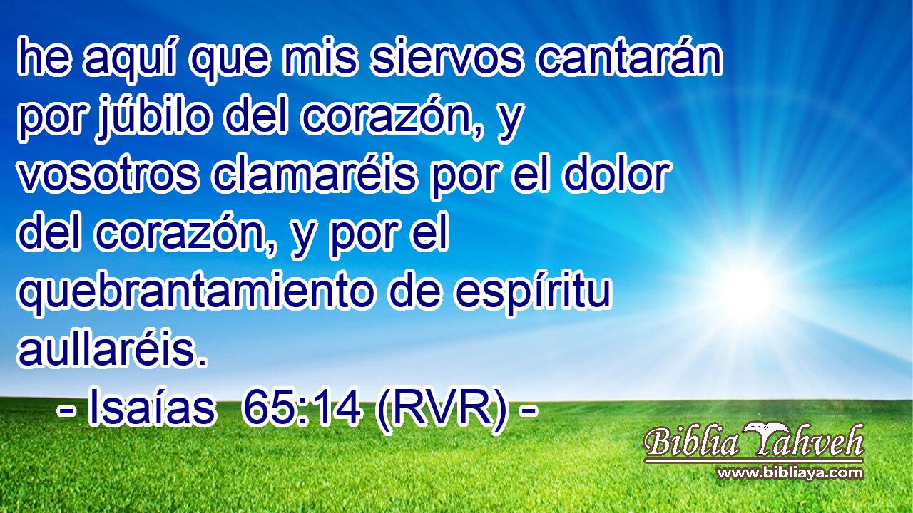 he aquí que mis siervos cantarán por júbilo del corazón, y vosotros clamaréis por el dolor del corazón, y por el quebrantamiento de espíritu aullaréis.