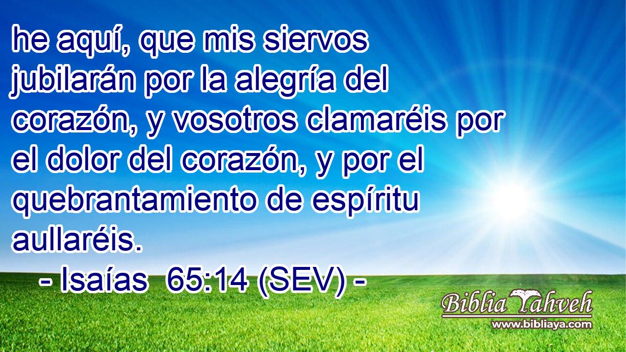 he aquí, que mis siervos jubilarán por la alegría del corazón, y vosotros clamaréis por el dolor del corazón, y por el quebrantamiento de espíritu aullaréis.