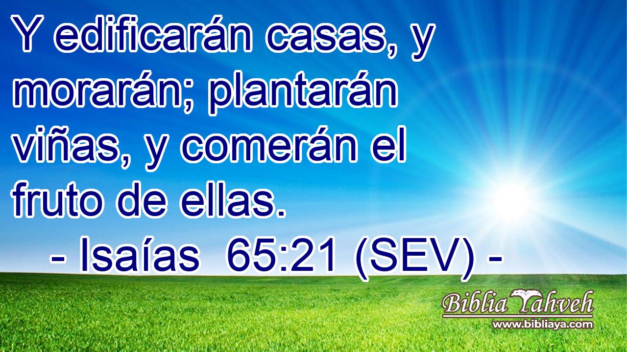 Y edificarán casas, y morarán; plantarán viñas, y comerán el fruto de ellas.