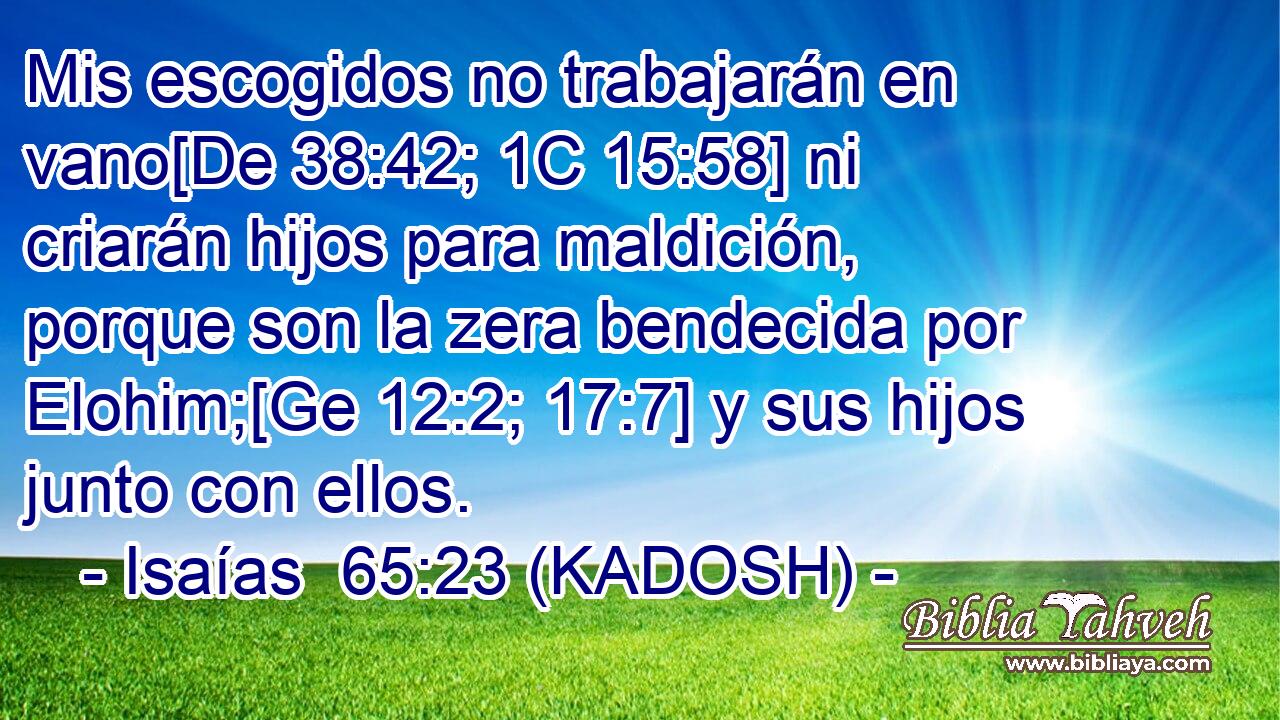  Mis escogidos no trabajarán en vano[De 38:42; 1C 15:58] ni criarán hijos para maldición, porque son la zera bendecida por Elohim;[Ge 12:2; 17:7] y sus hijos junto con ellos. 