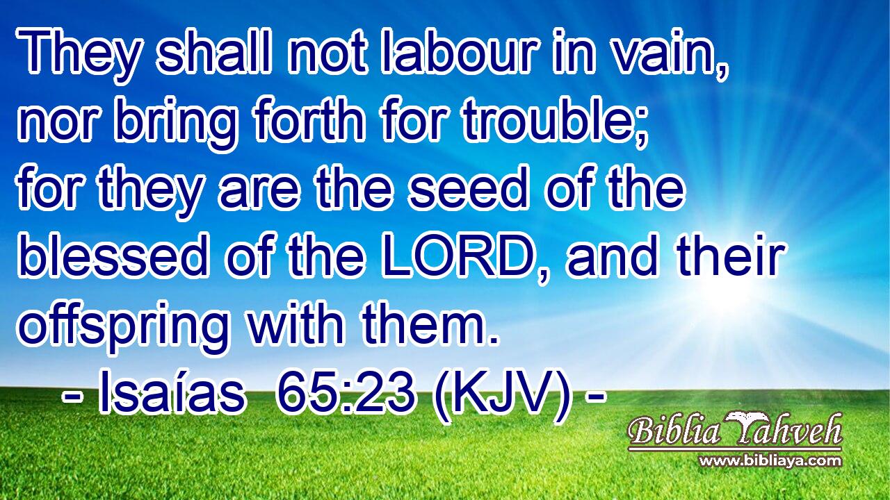 They shall not labour in vain, nor bring forth for trouble; for they are the seed of the blessed of the LORD, and their offspring with them.