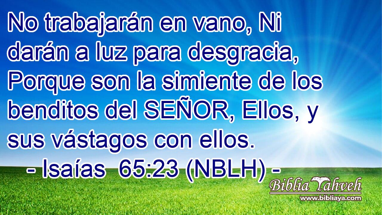  No trabajarán en vano, Ni darán a luz para desgracia, Porque son la simiente de los benditos del SEÑOR, Ellos, y sus vástagos con ellos. 