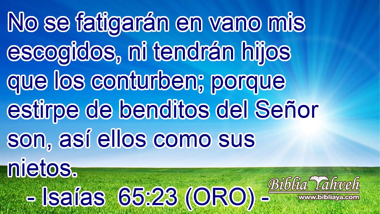  No se fatigarán en vano mis escogidos, ni tendrán hijos que los conturben; porque estirpe de benditos del Señor son, así ellos como sus nietos. 