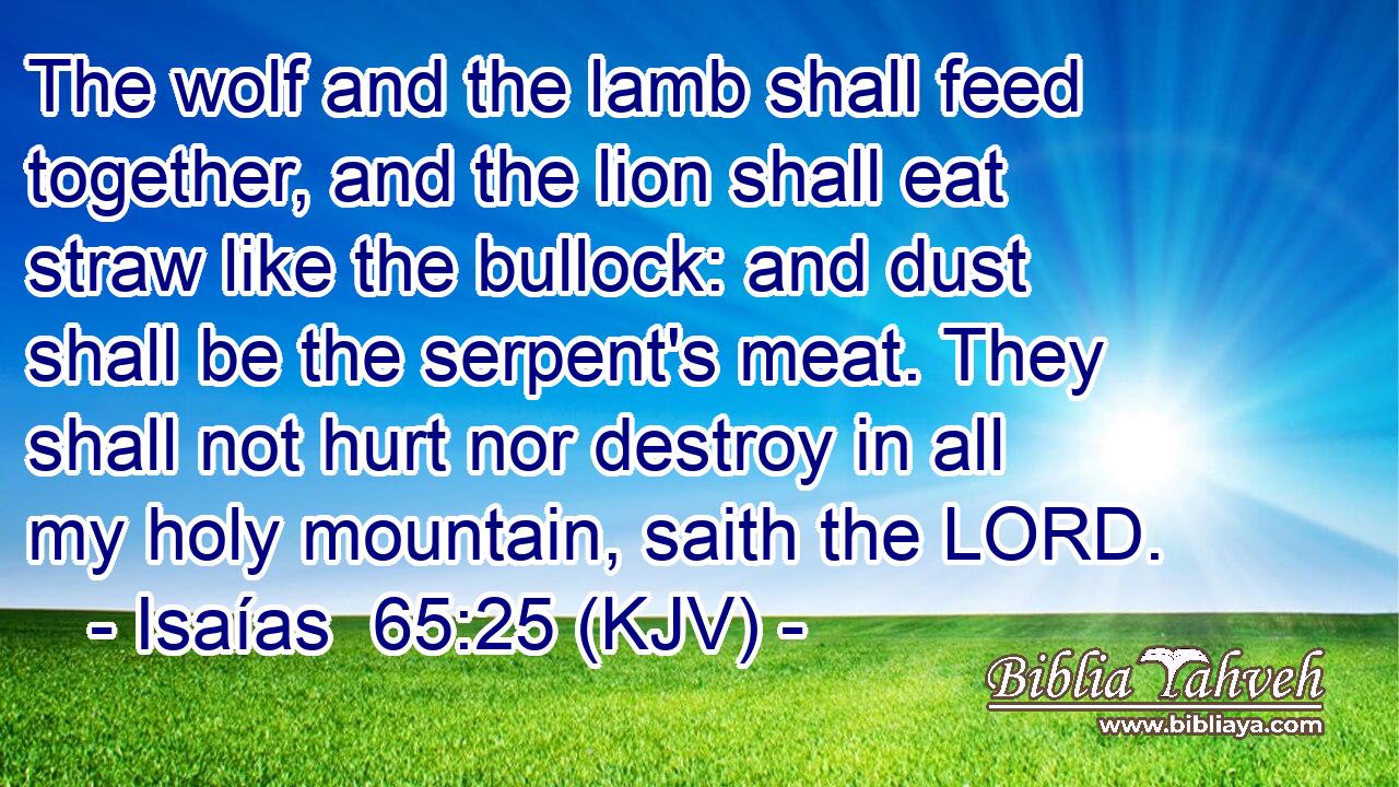 The wolf and the lamb shall feed together, and the lion shall eat straw like the bullock: and dust shall be the serpent's meat. They shall not hurt nor destroy in all my holy mountain, saith the LORD.