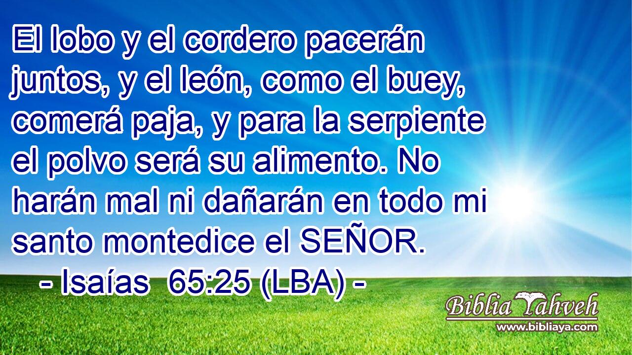 El lobo y el cordero pacerán juntos, y el león, como el buey, comerá paja, y para la serpiente el polvo será su alimento. No harán mal ni dañarán en todo mi santo montedice el SEÑOR.