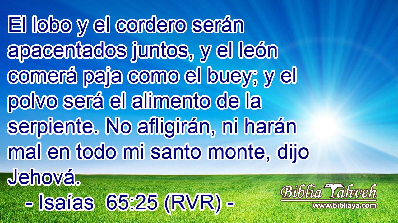 El lobo y el cordero serán apacentados juntos, y el león comerá paja como el buey; y el polvo será el alimento de la serpiente. No afligirán, ni harán mal en todo mi santo monte, dijo Jehová.