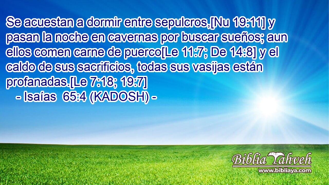  Se acuestan a dormir entre sepulcros,[Nu 19:11] y pasan la noche en cavernas por buscar sueños; aun ellos comen carne de puerco[Le 11:7; De 14:8] y el caldo de sus sacrificios, todas sus vasijas están profanadas.[Le 7:18; 19:7] 