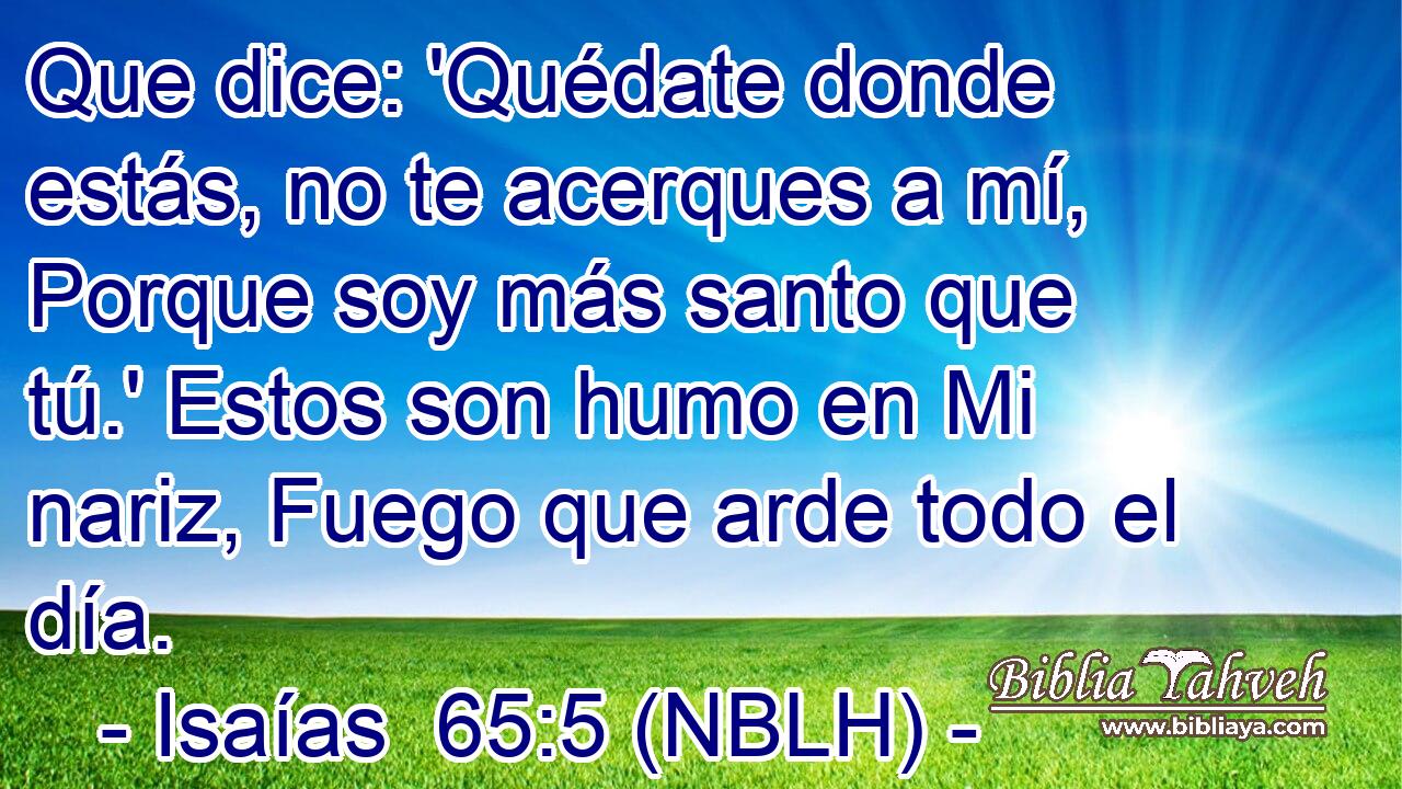  Que dice: 'Quédate donde estás, no te acerques a mí, Porque soy más santo que tú.' Estos son humo en Mi nariz, Fuego que arde todo el día. 