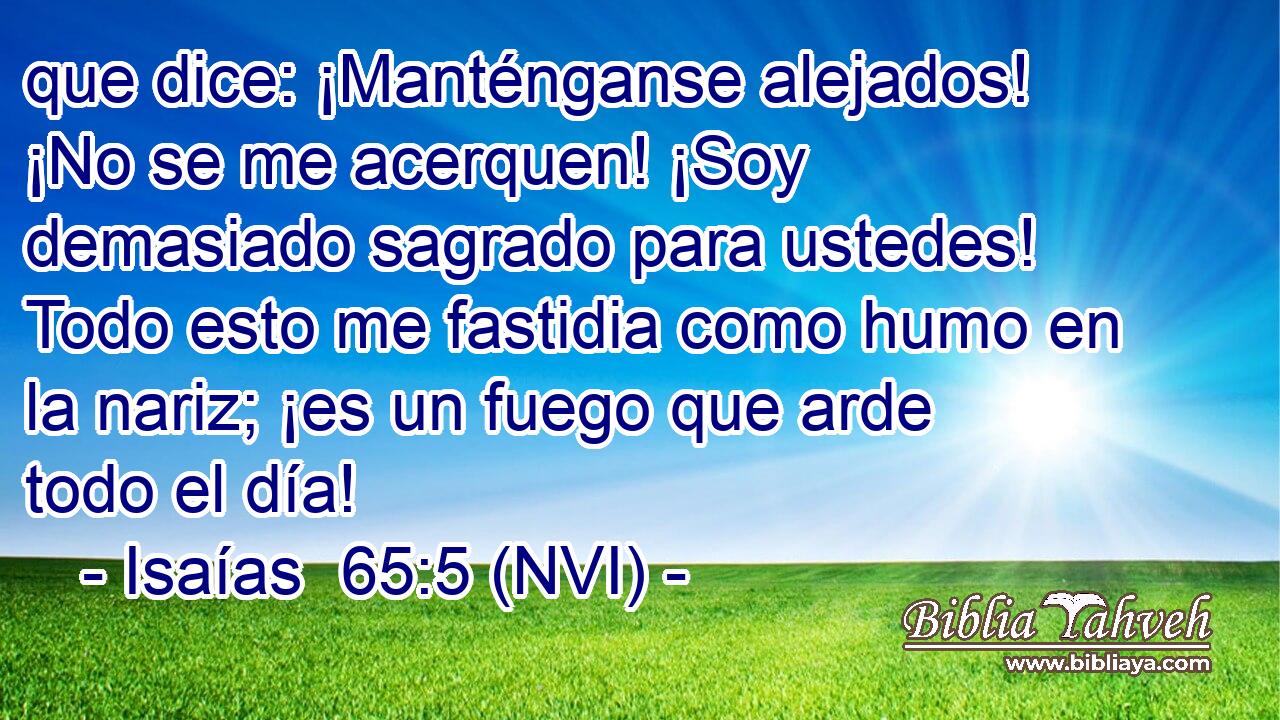  que dice: ¡Manténganse alejados! ¡No se me acerquen! ¡Soy demasiado sagrado para ustedes! Todo esto me fastidia como humo en la nariz; ¡es un fuego que arde todo el día! 