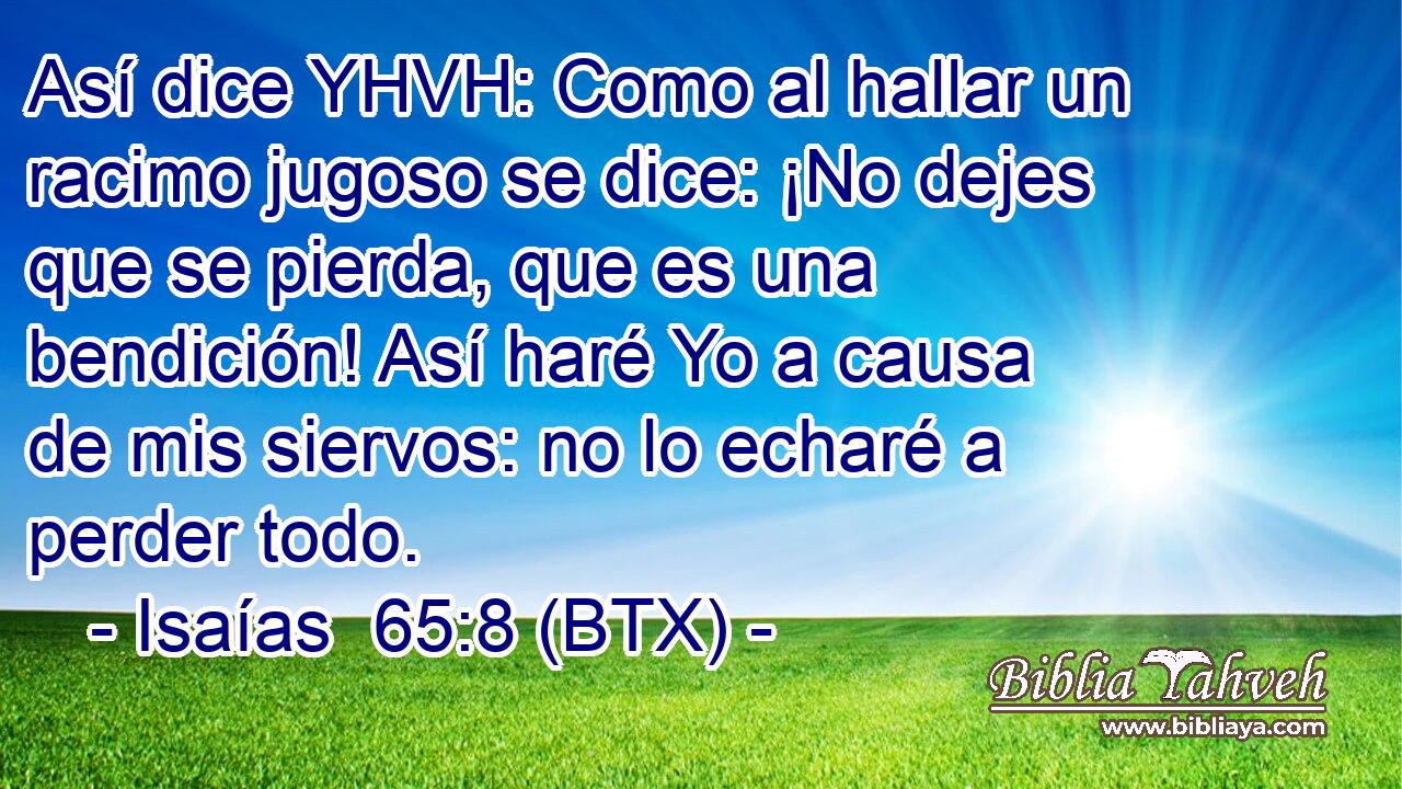 Así dice YHVH: Como al hallar un racimo jugoso se dice: ¡No dejes que se pierda, que es una bendición! Así haré Yo a causa de mis siervos: no lo echaré a perder todo.