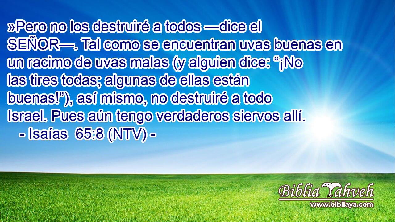 »Pero no los destruiré a todos —dice el SEÑOR—. Tal como se encuentran uvas buenas en un racimo de uvas malas (y alguien dice: “¡No las tires todas; algunas de ellas están buenas!”), así mismo, no destruiré a todo Israel. Pues aún tengo verdaderos siervos allí.
