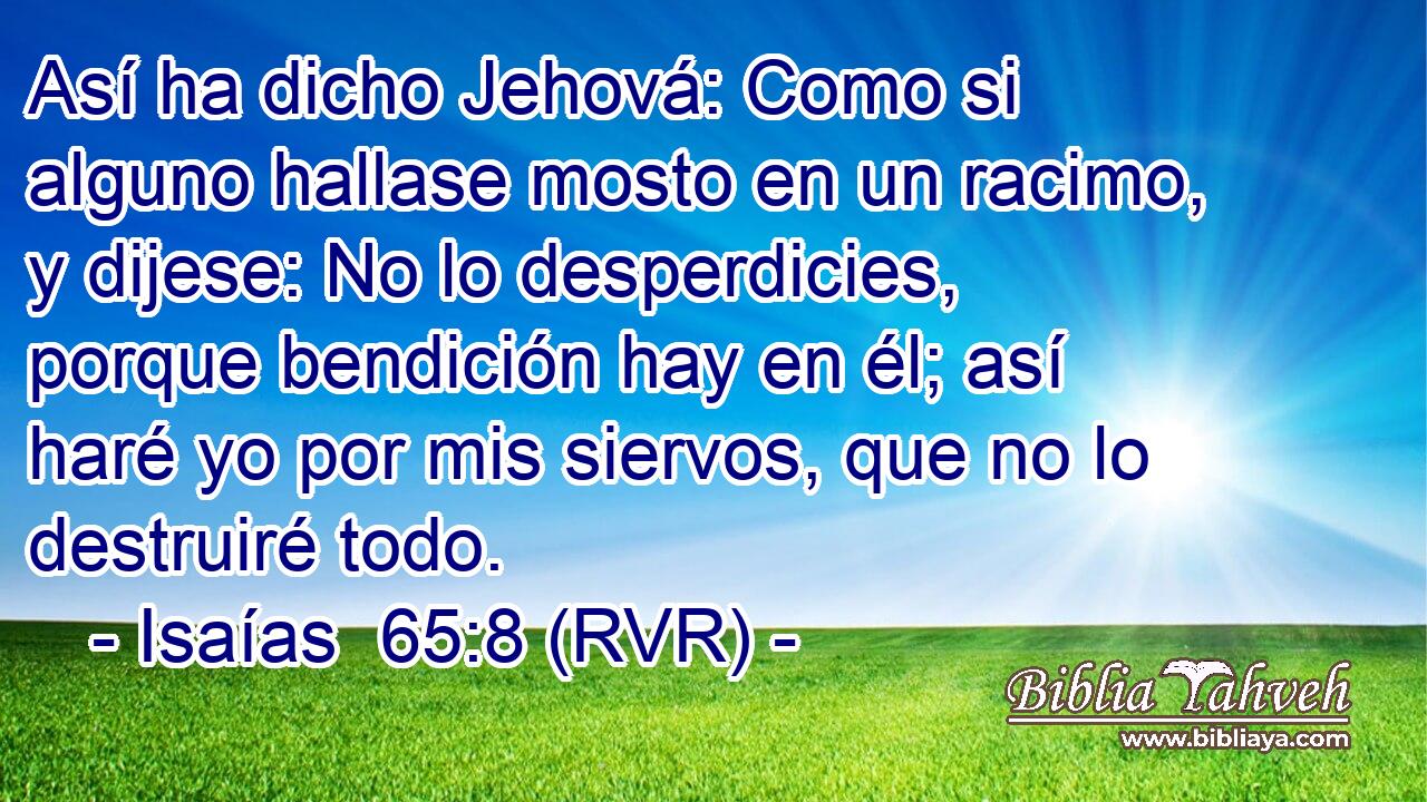 Así ha dicho Jehová: Como si alguno hallase mosto en un racimo, y dijese: No lo desperdicies, porque bendición hay en él; así haré yo por mis siervos, que no lo destruiré todo.