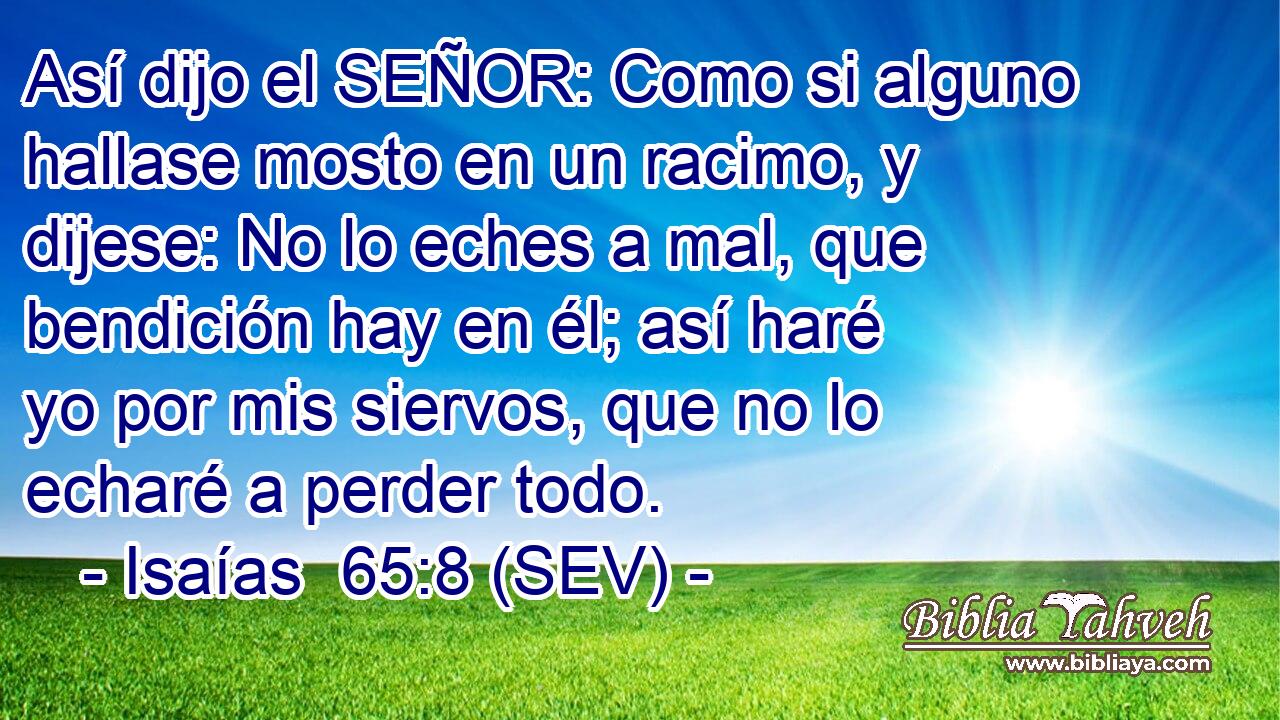 Así dijo el SEÑOR: Como si alguno hallase mosto en un racimo, y dijese: No lo eches a mal, que bendición hay en él; así haré yo por mis siervos, que no lo echaré a perder todo.