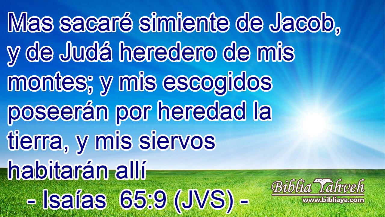 Mas sacaré simiente de Jacob, y de Judá heredero de mis montes; y mis escogidos poseerán por heredad la tierra, y mis siervos habitarán allí
