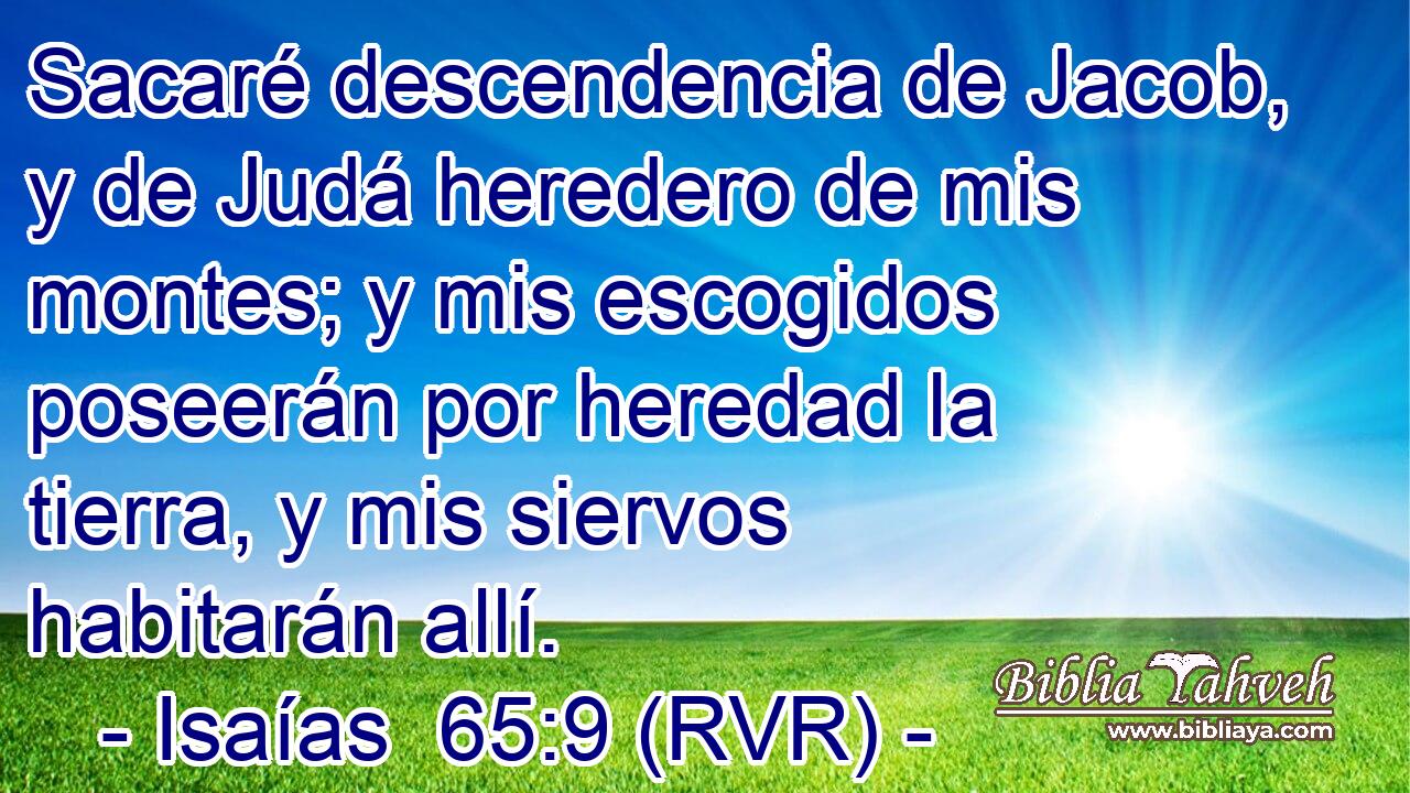 Sacaré descendencia de Jacob, y de Judá heredero de mis montes; y mis escogidos poseerán por heredad la tierra, y mis siervos habitarán allí.