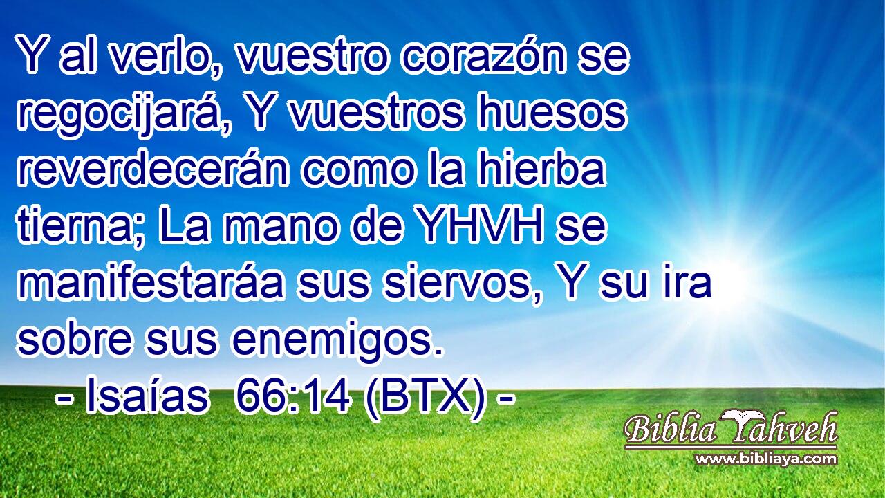 Y al verlo, vuestro corazón se regocijará, Y vuestros huesos reverdecerán como la hierba tierna; La mano de YHVH se manifestaráa sus siervos, Y su ira sobre sus enemigos.