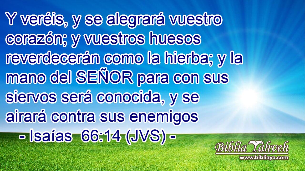 Y veréis, y se alegrará vuestro corazón; y vuestros huesos reverdecerán como la hierba; y la mano del SEÑOR para con sus siervos será conocida, y se airará contra sus enemigos