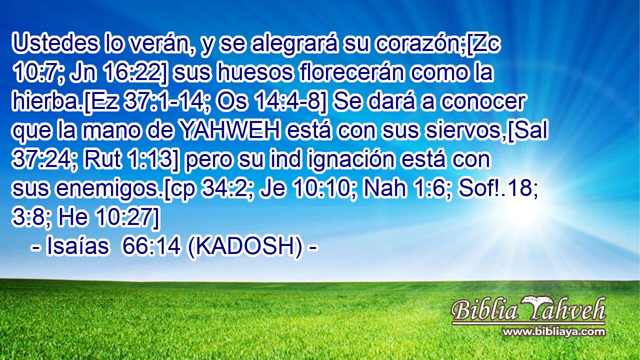  Ustedes lo verán, y se alegrará su corazón;[Zc 10:7; Jn 16:22] sus huesos florecerán como la hierba.[Ez 37:1-14; Os 14:4-8] Se dará a conocer que la mano de YAHWEH está con sus siervos,[Sal 37:24; Rut 1:13] pero su ind ignación está con sus enemigos.[cp 34:2; Je 10:10; Nah 1:6; Sof!.18; 3:8; He 10:27] 