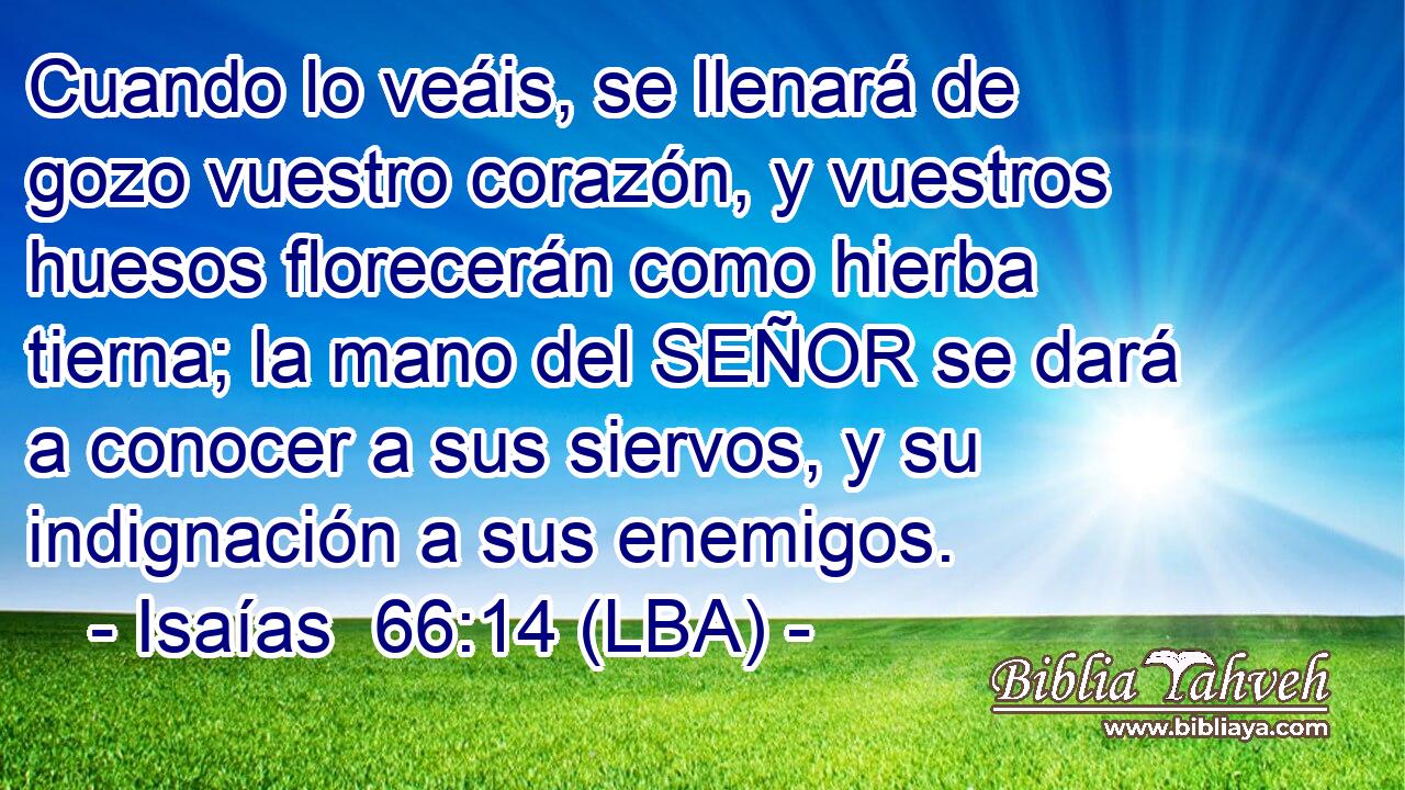 Cuando lo veáis, se llenará de gozo vuestro corazón, y vuestros huesos florecerán como hierba tierna; la mano del SEÑOR se dará a conocer a sus siervos, y su indignación a sus enemigos.