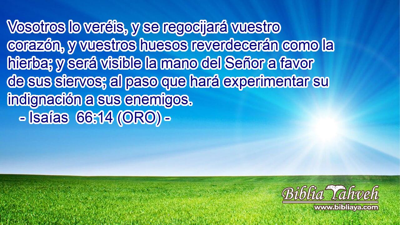  Vosotros lo veréis, y se regocijará vuestro corazón, y vuestros huesos reverdecerán como la hierba; y será visible la mano del Señor a favor de sus siervos; al paso que hará experimentar su indignación a sus enemigos. 