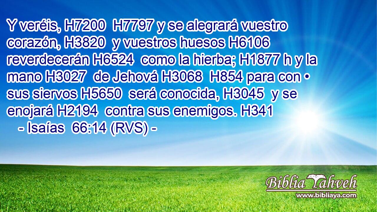 Y veréis, H7200  H7797 y se alegrará vuestro corazón, H3820  y vuestros huesos H6106  reverdecerán H6524  como la hierba; H1877 h y la mano H3027  de Jehová H3068  H854 para con • sus siervos H5650  será conocida, H3045  y se enojará H2194  contra sus enemigos. H341  