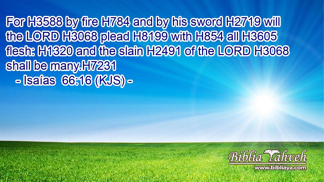 For H3588 by fire H784 and by his sword H2719 will the LORD H3068 plead H8199 with H854 all H3605 flesh: H1320 and the slain H2491 of the LORD H3068 shall be many.H7231