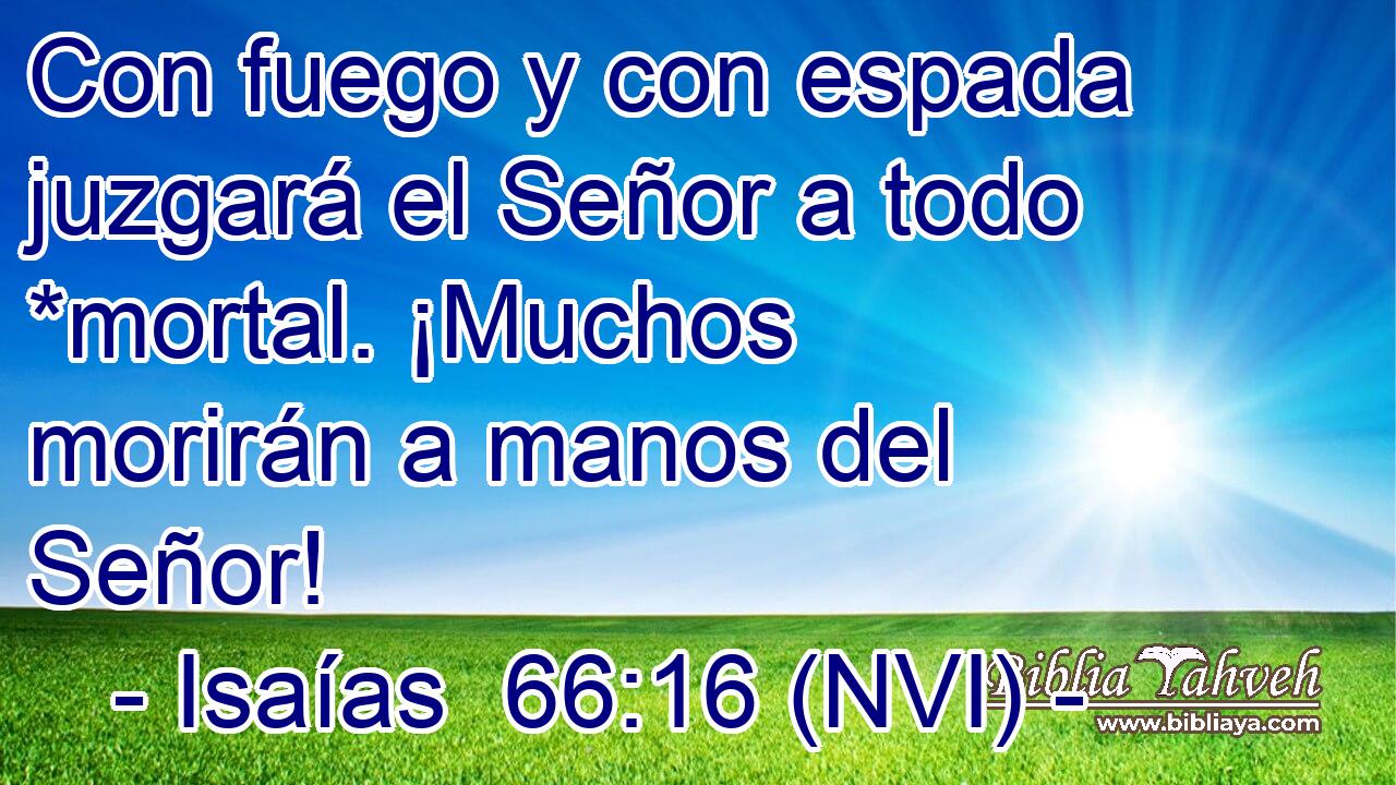  Con fuego y con espada juzgará el Señor a todo *mortal. ¡Muchos morirán a manos del Señor! 