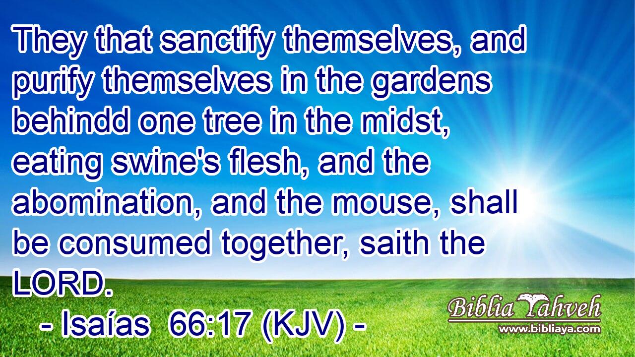 They that sanctify themselves, and purify themselves in the gardens behindd one tree in the midst, eating swine's flesh, and the abomination, and the mouse, shall be consumed together, saith the LORD.