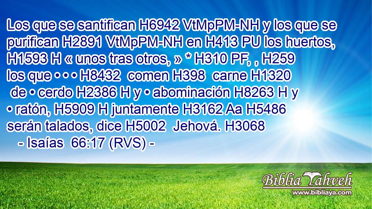 Los que se santifican H6942 VtMpPM-NH y los que se purifican H2891 VtMpPM-NH en H413 PU los huertos, H1593 H « unos tras otros, » * H310 PF, , H259 los que • • • H8432  comen H398  carne H1320  de • cerdo H2386 H y • abominación H8263 H y • ratón, H5909 H juntamente H3162 Aa H5486 serán talados, dice H5002  Jehová. H3068  