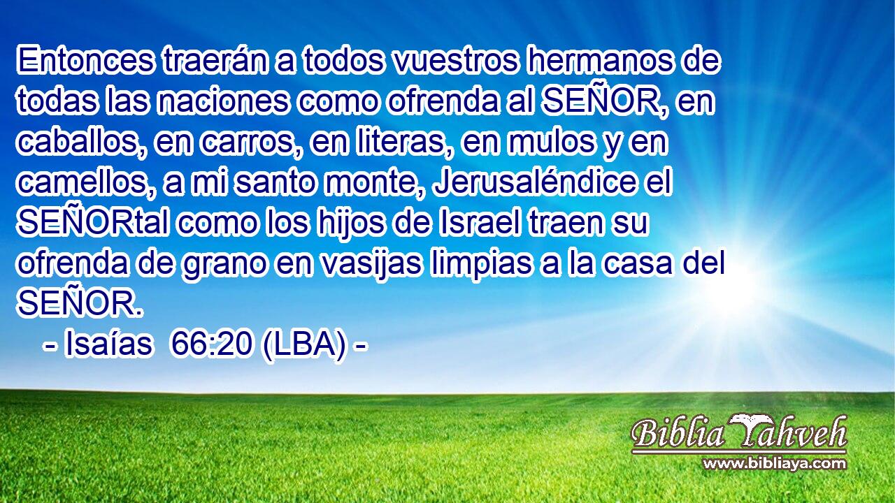 Entonces traerán a todos vuestros hermanos de todas las naciones como ofrenda al SEÑOR, en caballos, en carros, en literas, en mulos y en camellos, a mi santo monte, Jerusaléndice el SEÑORtal como los hijos de Israel traen su ofrenda de grano en vasijas limpias a la casa del SEÑOR.