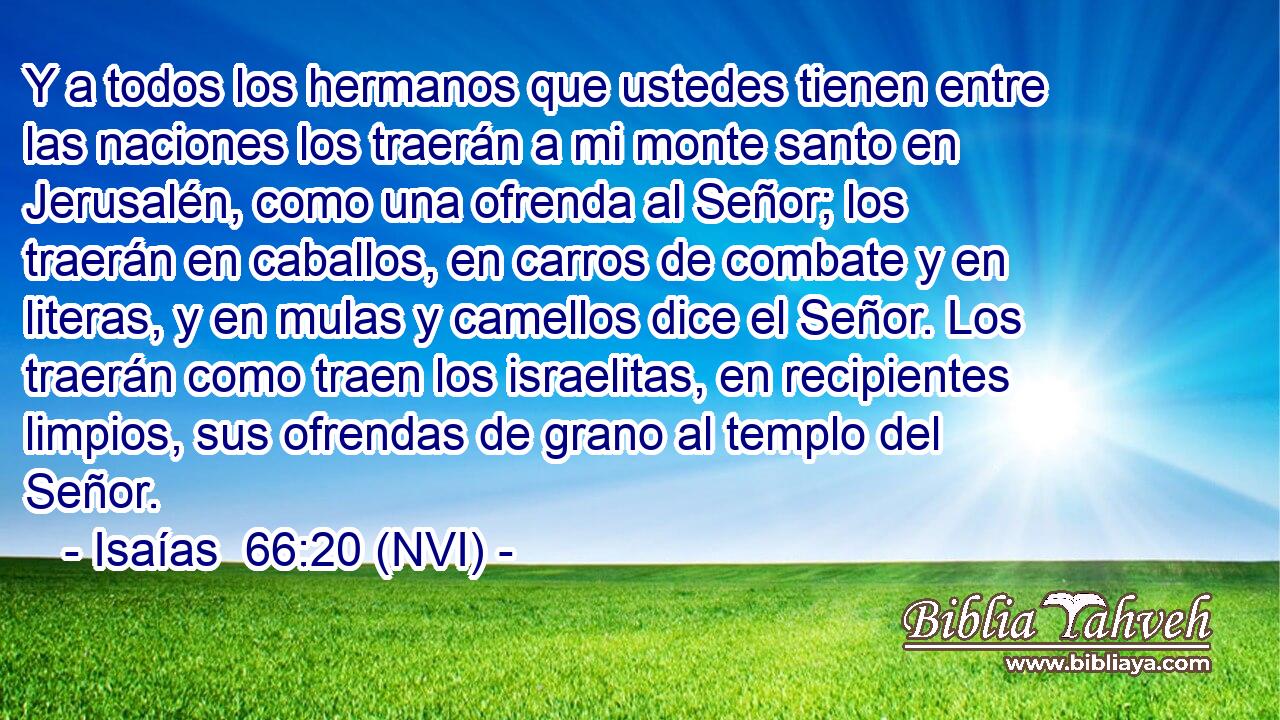  Y a todos los hermanos que ustedes tienen entre las naciones los traerán a mi monte santo en Jerusalén, como una ofrenda al Señor; los traerán en caballos, en carros de combate y en literas, y en mulas y camellos dice el Señor. Los traerán como traen los israelitas, en recipientes limpios, sus ofrendas de grano al templo del Señor. 