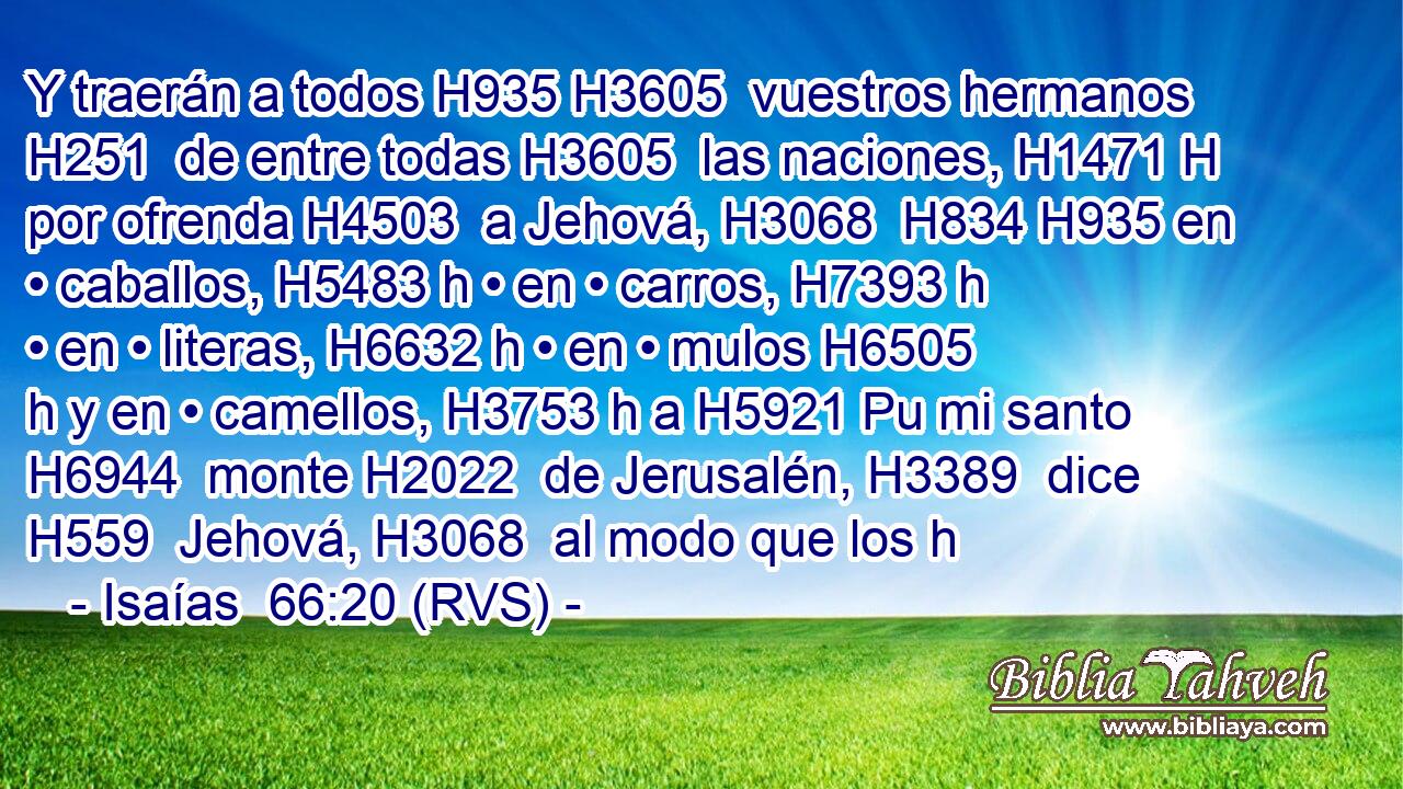 Y traerán a todos H935 H3605  vuestros hermanos H251  de entre todas H3605  las naciones, H1471 H por ofrenda H4503  a Jehová, H3068  H834 H935 en • caballos, H5483 h • en • carros, H7393 h • en • literas, H6632 h • en • mulos H6505 h y en • camellos, H3753 h a H5921 Pu mi santo H6944  monte H2022  de Jerusalén, H3389  dice H559  Jehová, H3068  al modo que los h