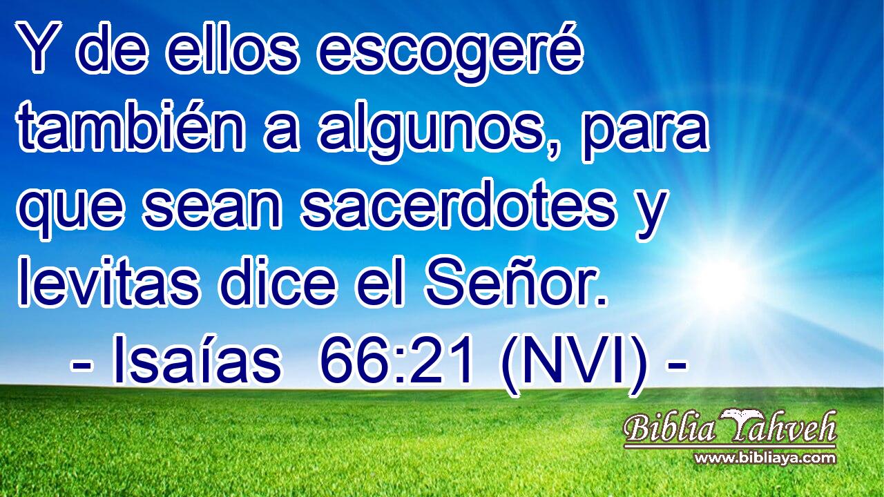  Y de ellos escogeré también a algunos, para que sean sacerdotes y levitas dice el Señor. 