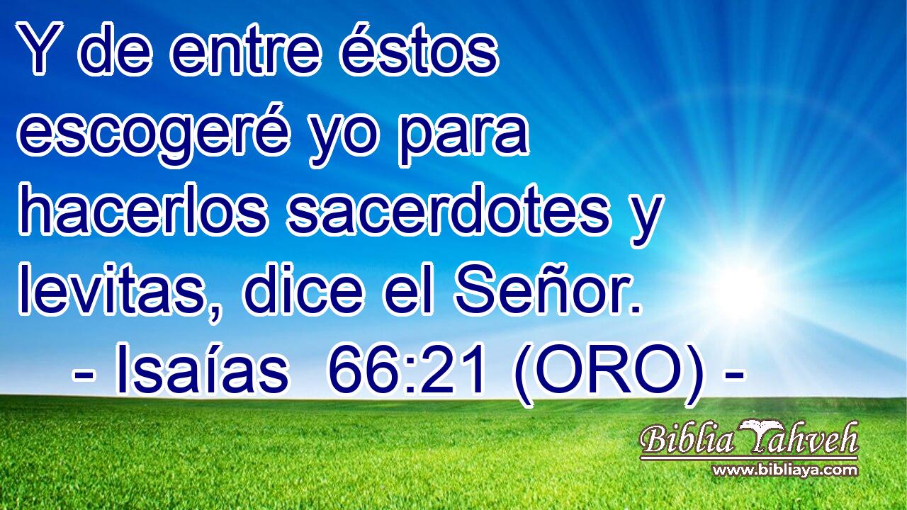  Y de entre éstos escogeré yo para hacerlos sacerdotes y levitas, dice el Señor. 