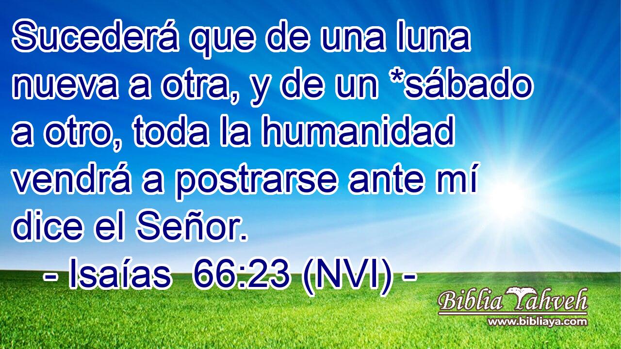  Sucederá que de una luna nueva a otra, y de un *sábado a otro, toda la humanidad vendrá a postrarse ante mí dice el Señor. 