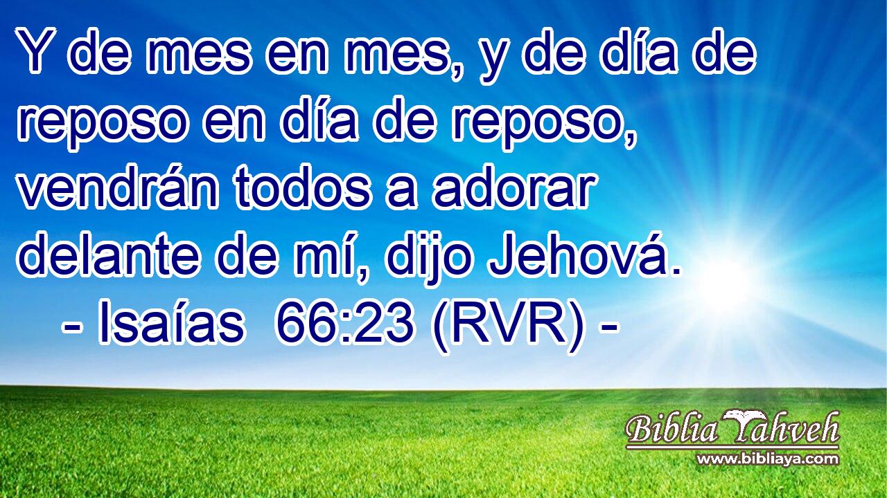 Y de mes en mes, y de día de reposo en día de reposo, vendrán todos a adorar delante de mí, dijo Jehová.