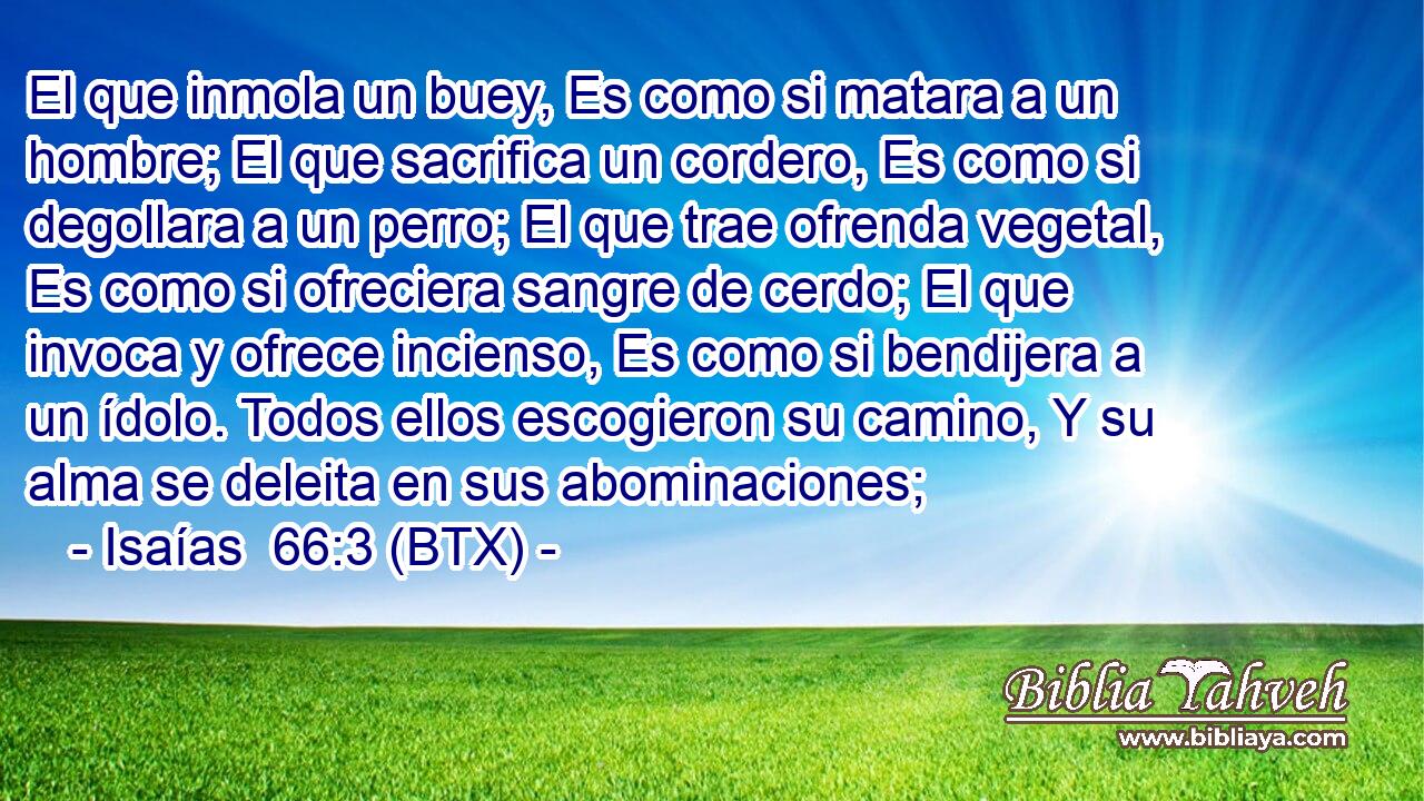 El que inmola un buey, Es como si matara a un hombre; El que sacrifica un cordero, Es como si degollara a un perro; El que trae ofrenda vegetal, Es como si ofreciera sangre de cerdo; El que invoca y ofrece incienso, Es como si bendijera a un ídolo. Todos ellos escogieron su camino, Y su alma se deleita en sus abominaciones;