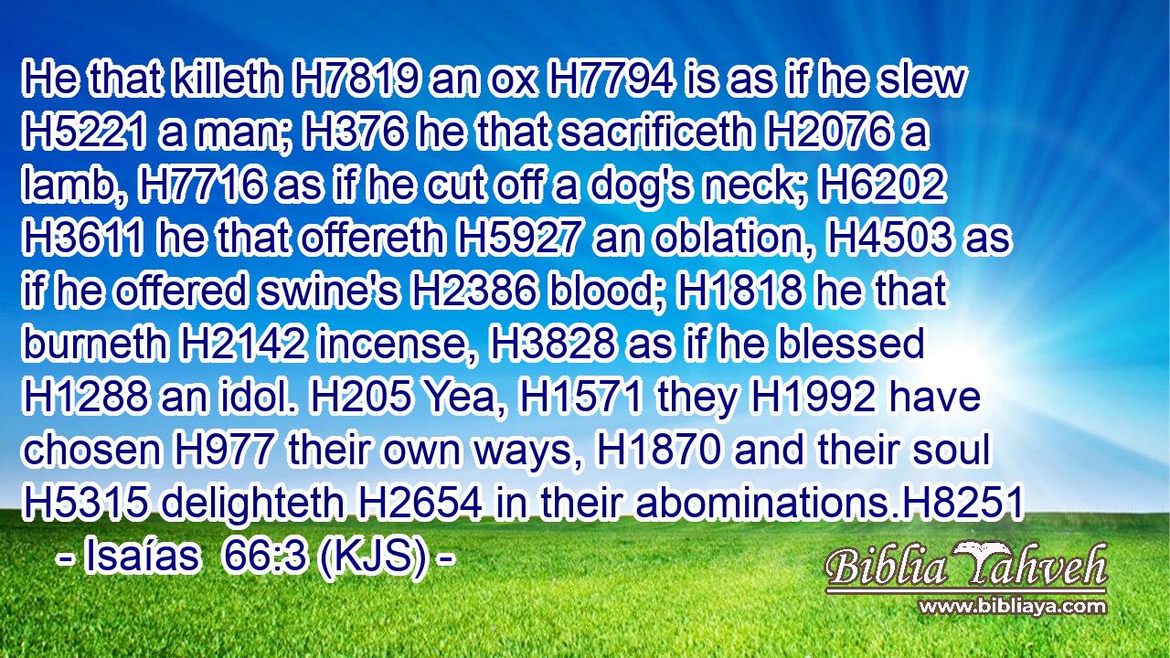 He that killeth H7819 an ox H7794 is as if he slew H5221 a man; H376 he that sacrificeth H2076 a lamb, H7716 as if he cut off a dog's neck; H6202  H3611 he that offereth H5927 an oblation, H4503 as if he offered swine's H2386 blood; H1818 he that burneth H2142 incense, H3828 as if he blessed H1288 an idol. H205 Yea, H1571 they H1992 have chosen H977 their own ways, H1870 and their soul H5315 delighteth H2654 in their abominations.H8251