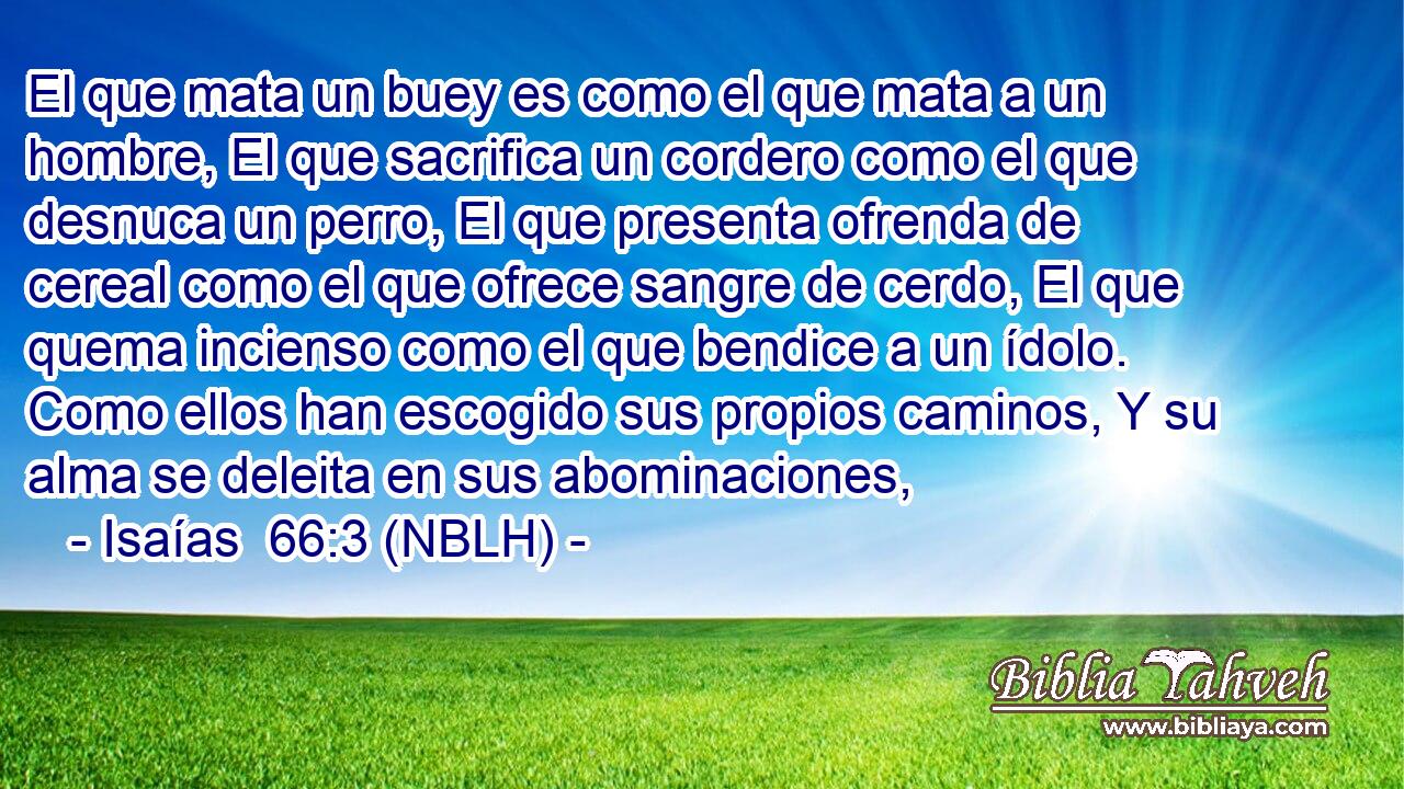 El que mata un buey es como el que mata a un hombre, El que sacrifica un cordero como el que desnuca un perro, El que presenta ofrenda de cereal como el que ofrece sangre de cerdo, El que quema incienso como el que bendice a un ídolo. Como ellos han escogido sus propios caminos, Y su alma se deleita en sus abominaciones, 